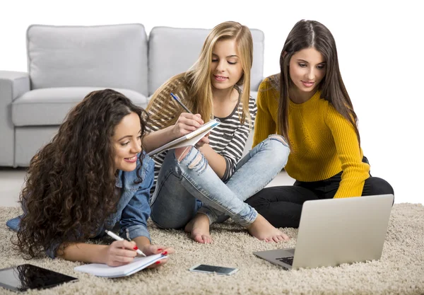 Meisjes thuis studeren — Stockfoto