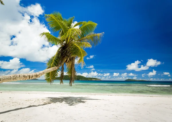 Vacker strand i Seychellerna — Stockfoto