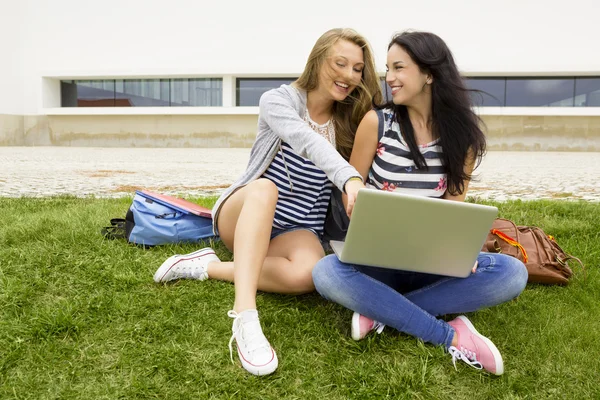 Estudiantes de Tennage que estudian junto con un portátil — Foto de Stock