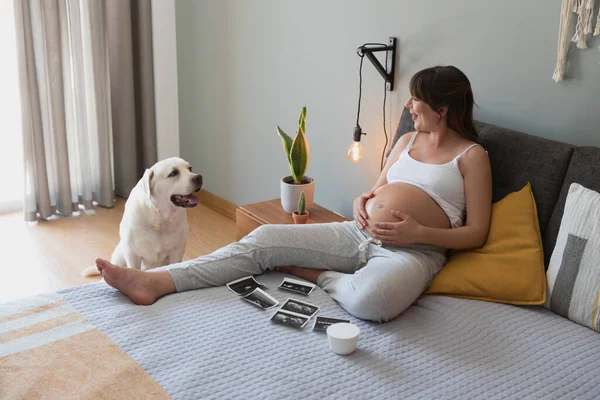 Gravid Kvinna Berätta Hunden Att Han Kommer Att Bror Prenatal — Stockfoto