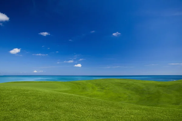 Bela paisagem verde — Fotografia de Stock