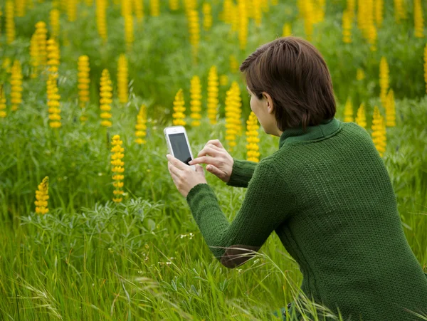 Taking pictures with a cellphone — Stock Photo, Image