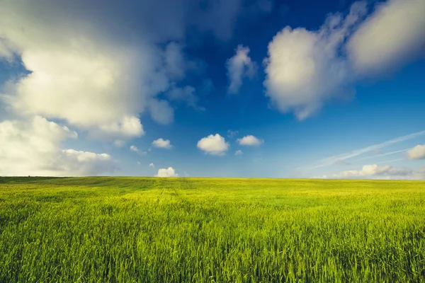 Hermoso paisaje verde — Foto de Stock