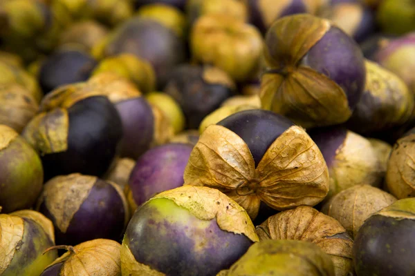 Tomatillos aus biologischem Anbau — Stockfoto