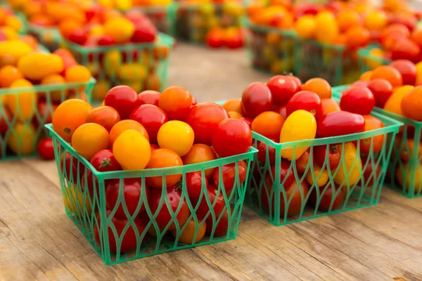 Bio-Tomaten — Stockfoto