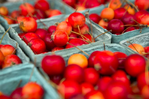 Manzanas rojas — Foto de Stock