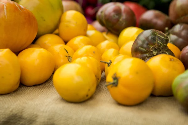 Bio-Tomaten — Stockfoto