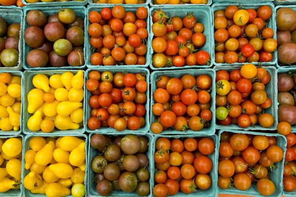 Ekologiska tomater — Stockfoto