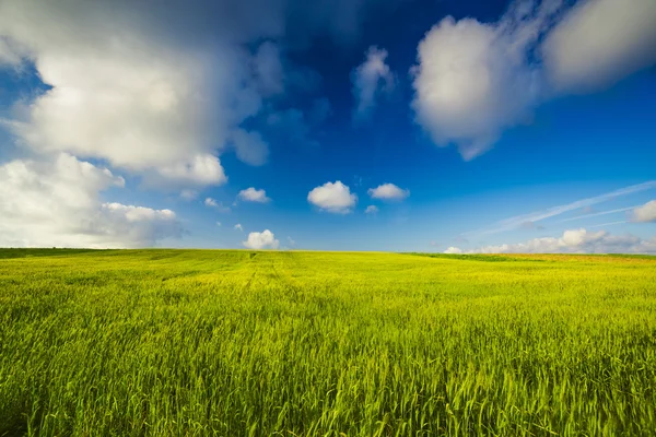 Prachtige groene landschap — Stockfoto