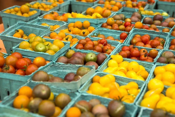 Biologische tomaten — Stockfoto