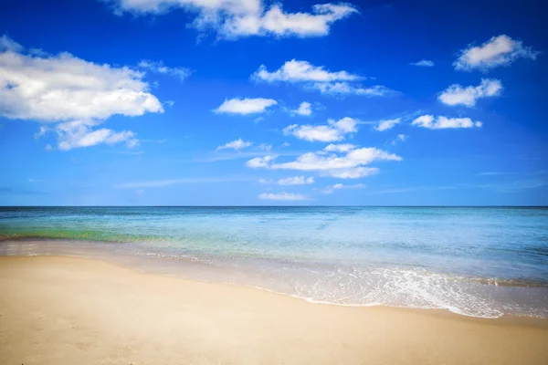 Ocean beach i Portugal — Stockfoto
