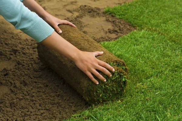 ロール芝を適用する庭師 — ストック写真