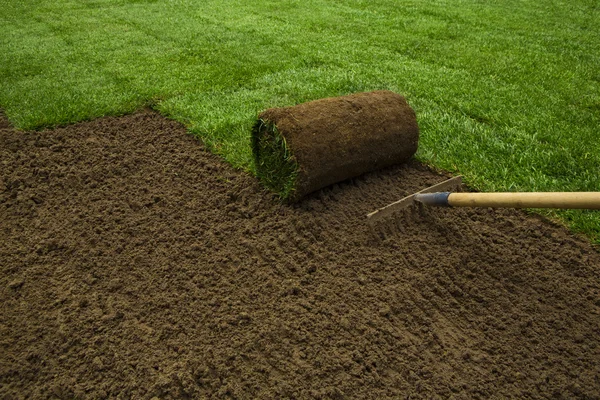 Gardener applying turf rolls — Stock Photo, Image