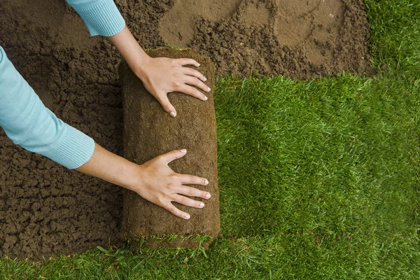 ロール芝を適用する庭師 — ストック写真