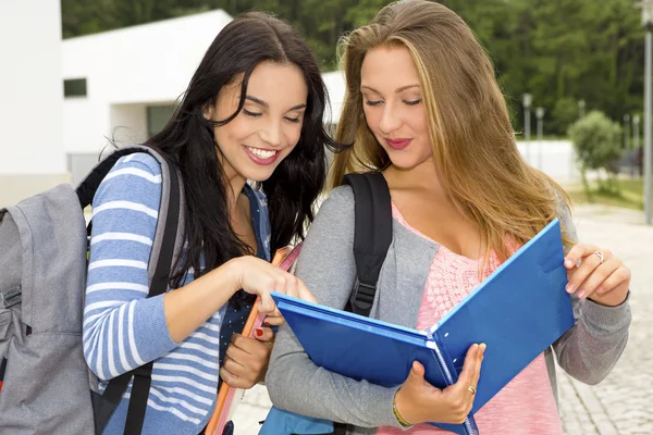 Schüler im Teenageralter zeigen etwas in den Büchern — Stockfoto