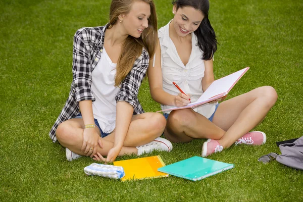 Estudiantes sentados en la hierba y estudiar —  Fotos de Stock