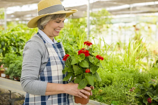 A day in a green house — Stock Photo, Image