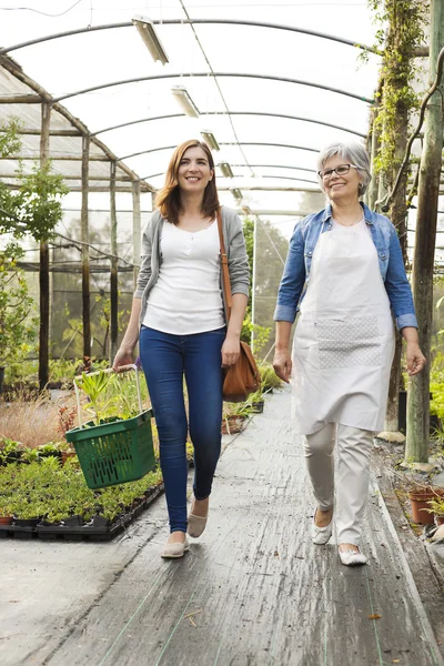 Worker and customer in a green house — Stock Photo, Image