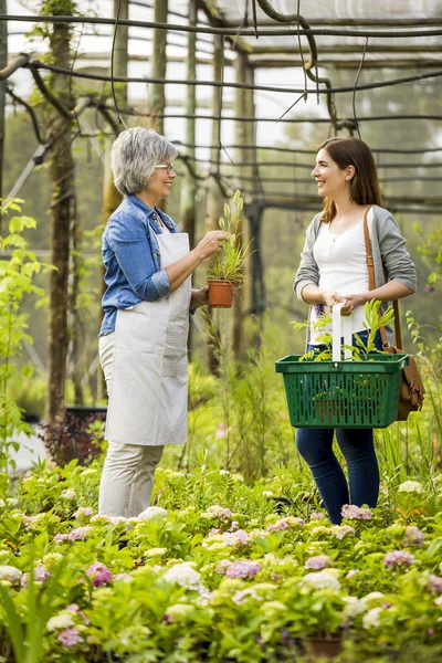 Worker and customer in a green house — Stock Photo, Image