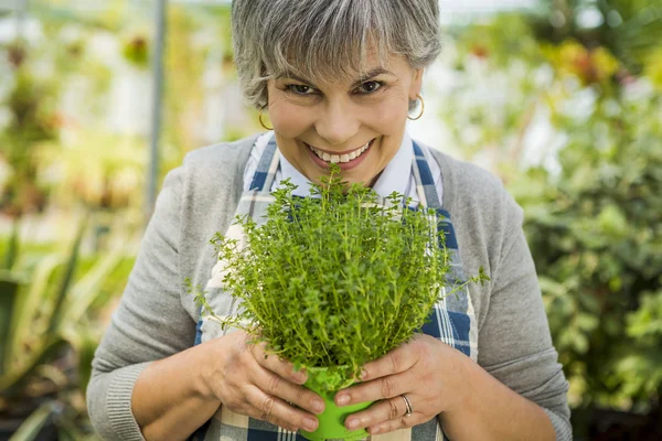 Woman holding fresh herbs — Stock Photo, Image