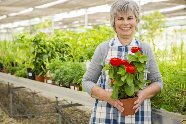 A day in a green house — Stock Photo, Image