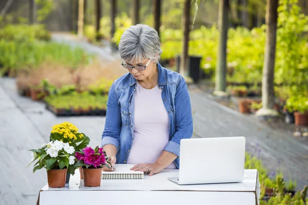 Woman working in a flower shop — Stock Photo, Image