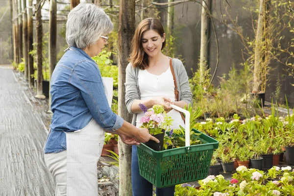 Worker and customer in a green house — Stock Photo, Image