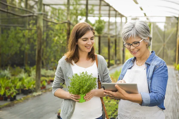 Worker and customer in a green house — Stock Photo, Image