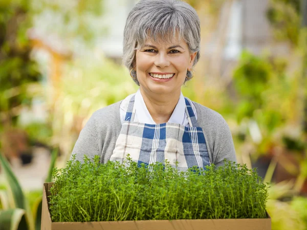Woman Choosing fresh herbs — Stock Photo, Image