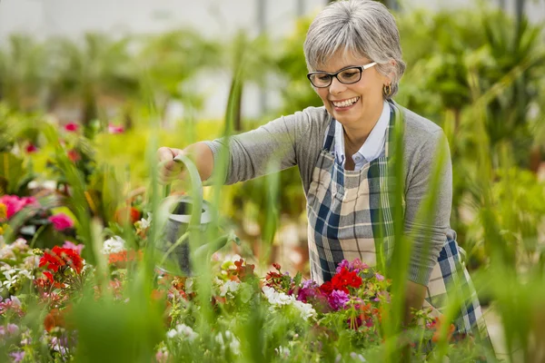 Зрелая женщина поливает цветы — стоковое фото