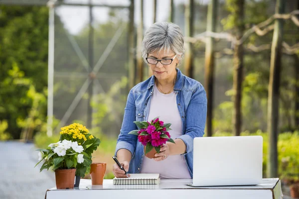 Trabalhando em uma loja de flores — Fotografia de Stock