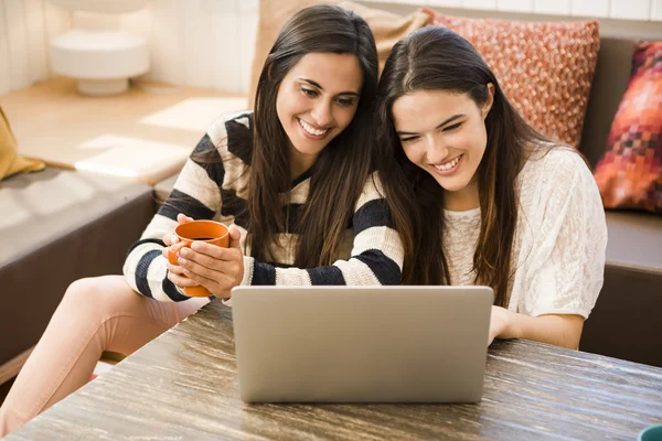 Friends studying at the local coffee shop — Stock Photo, Image