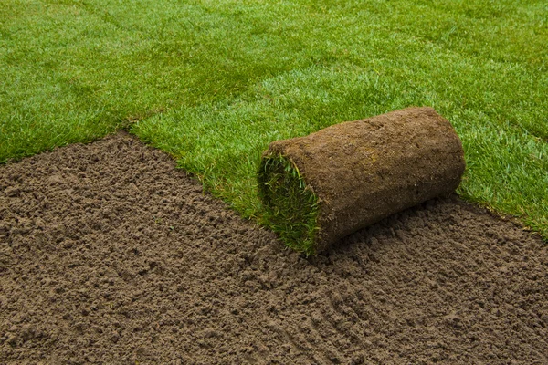 Giardiniere applicando rotoli di tappeto erboso nel cortile — Foto Stock