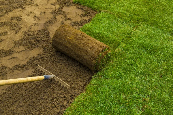 Gardener applying turf rolls in the backyard — Stock Photo, Image