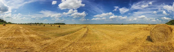Campo de verano con sierras de paja a la luz del día amplio plano panorámico — Foto de Stock