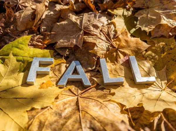 Słowo upadek ułożone metalowymi literami nad żółtymi jesiennymi opadłymi liśćmi - zbliżenie z selektywną ostrością — Zdjęcie stockowe