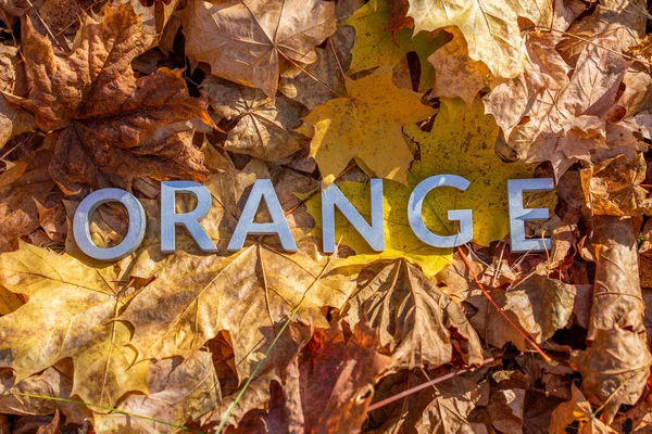 La parola arancione di cui con lettere metalliche sopra autunno foglie cadute - primo piano con attenzione selettiva — Foto Stock