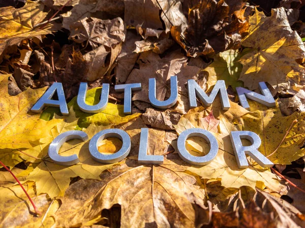 De woorden herfst kleur gelegd met metalen letters over gele herfst gevallen bladeren - close-up met selectieve focus — Stockfoto