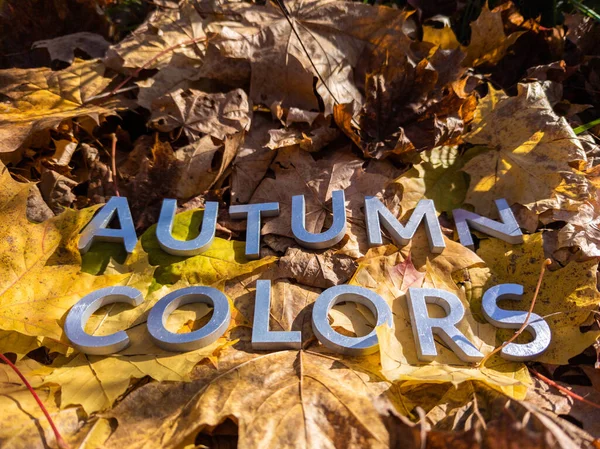Le parole colori autunnali di cui con lettere metalliche su foglie cadute autunno giallo - primo piano con attenzione selettiva — Foto Stock
