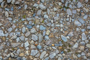 Karışık taşlı ve farklı kuru çubuklu çakıl yolu zemin dokusu