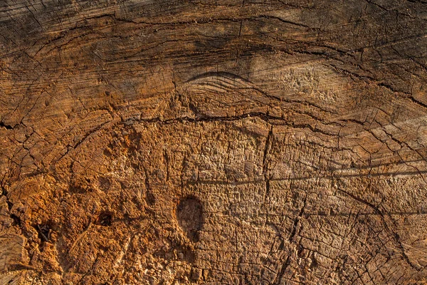 Eski bagaj dilimi yakın çekim düz dramatik arkaplan