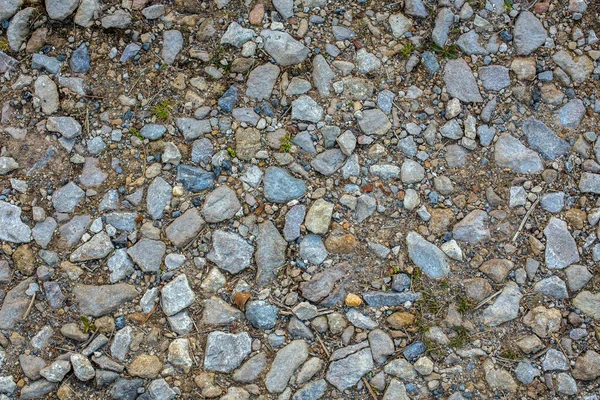 Textura Terra Cascalho Com Tipo Misto Pedras Diferentes Palitos Secos — Fotografia de Stock