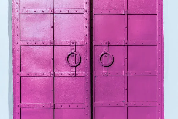 Puerta Doble Hierro Remachado Viejo Pintado Fresco Con Dos Anillos — Foto de Stock