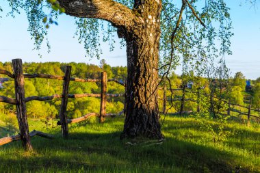 Tepedeki çitle kırsal manzara