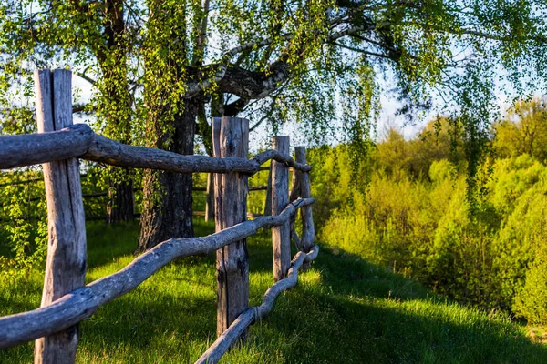 rustic view with log fence on hill