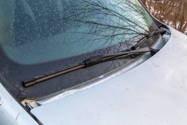 Light frost flakes on morning car windshield and waterblade wipers — Stock Photo, Image