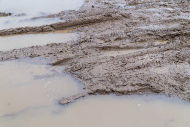 Gündüz vakti lastik izleri olan kirli çamur yolu - sert güneş ışığıyla dolu tam çerçeve arkaplan