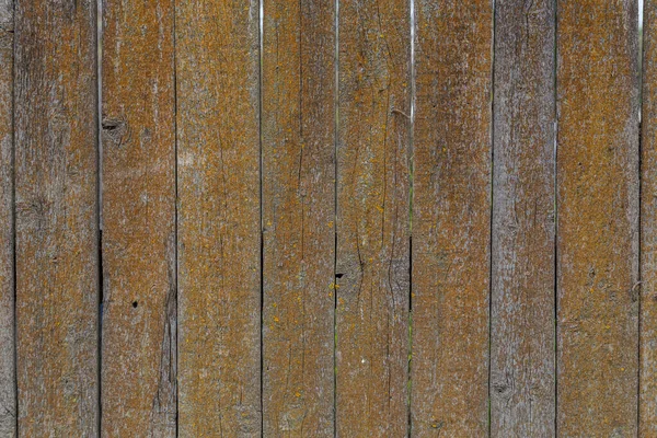 Planches de bois sèches grises surface murale avec texture et fond de lichen orange — Photo