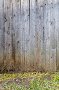 Gri kuru tahta duvarlar zemin yüzeyi olan zemin zemin zemin zemin zemin zemin zemin zemin zemin zemin zemininin altında.