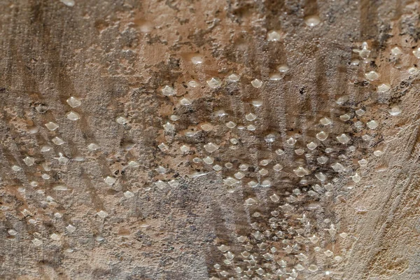 Gotas de agua condensada en el techo del sótano - primer plano con enfoque selectivo —  Fotos de Stock